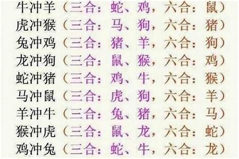 生肖六和|最全12生肖三合、六合、相冲、相害详细讲解！（上）